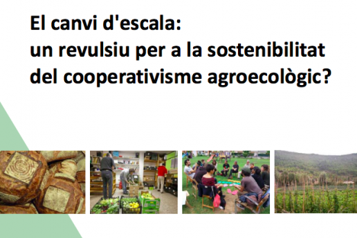 El canvi d'escala: un revulsiu per a la sostenibilitat del cooperativisme agroecològic?